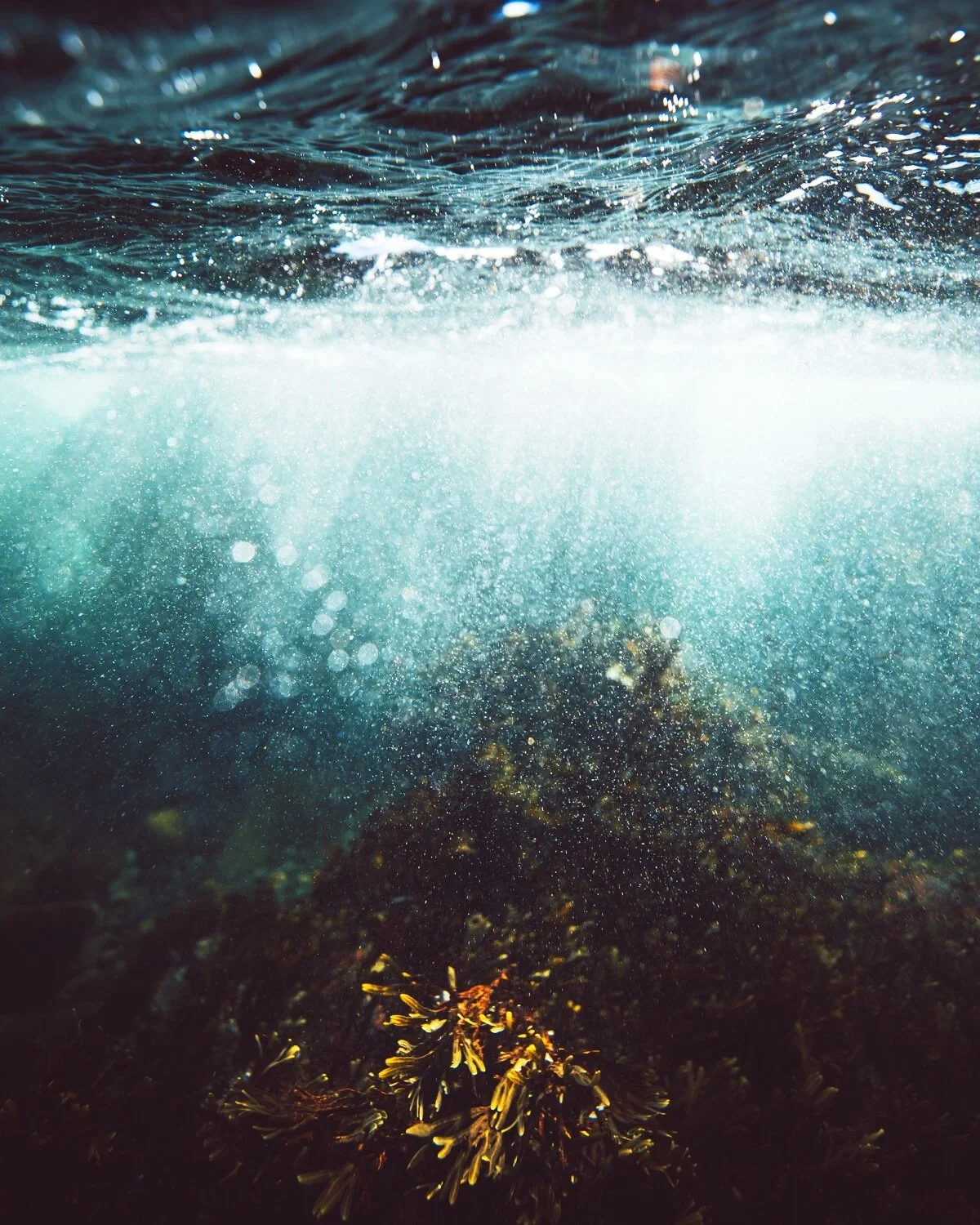 underwater-atlantic-diving-dive-water-light-rays-jubbish.jpg