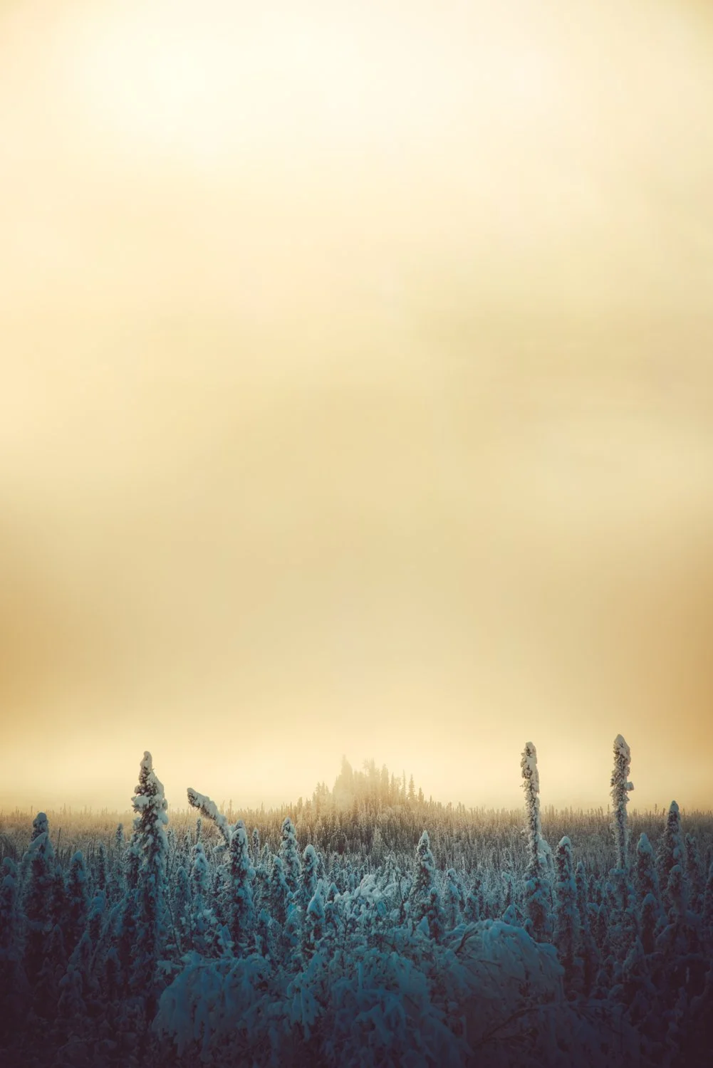 IMG_0240-Edit.jpg