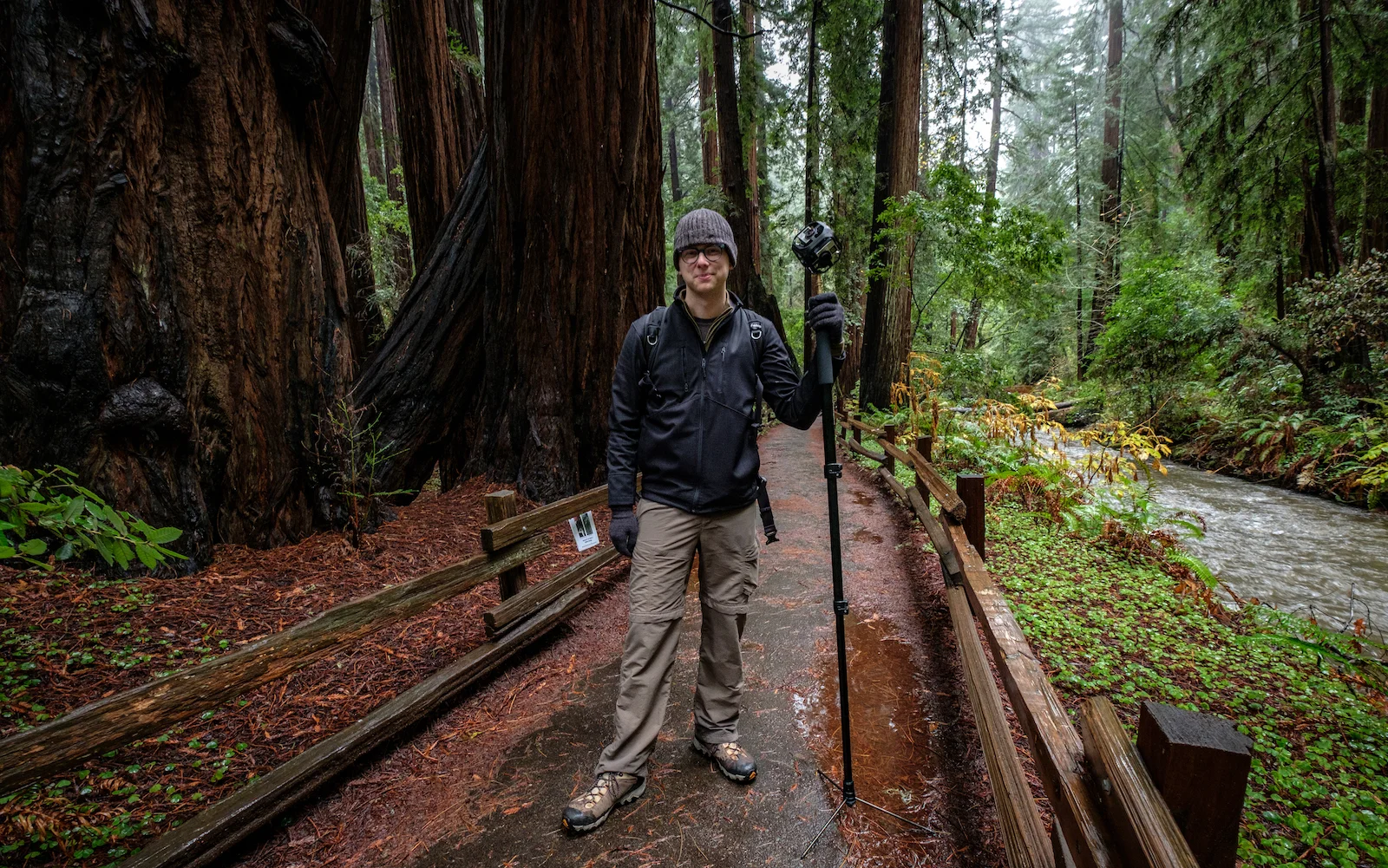 Steve-Header-uncropped.jpg