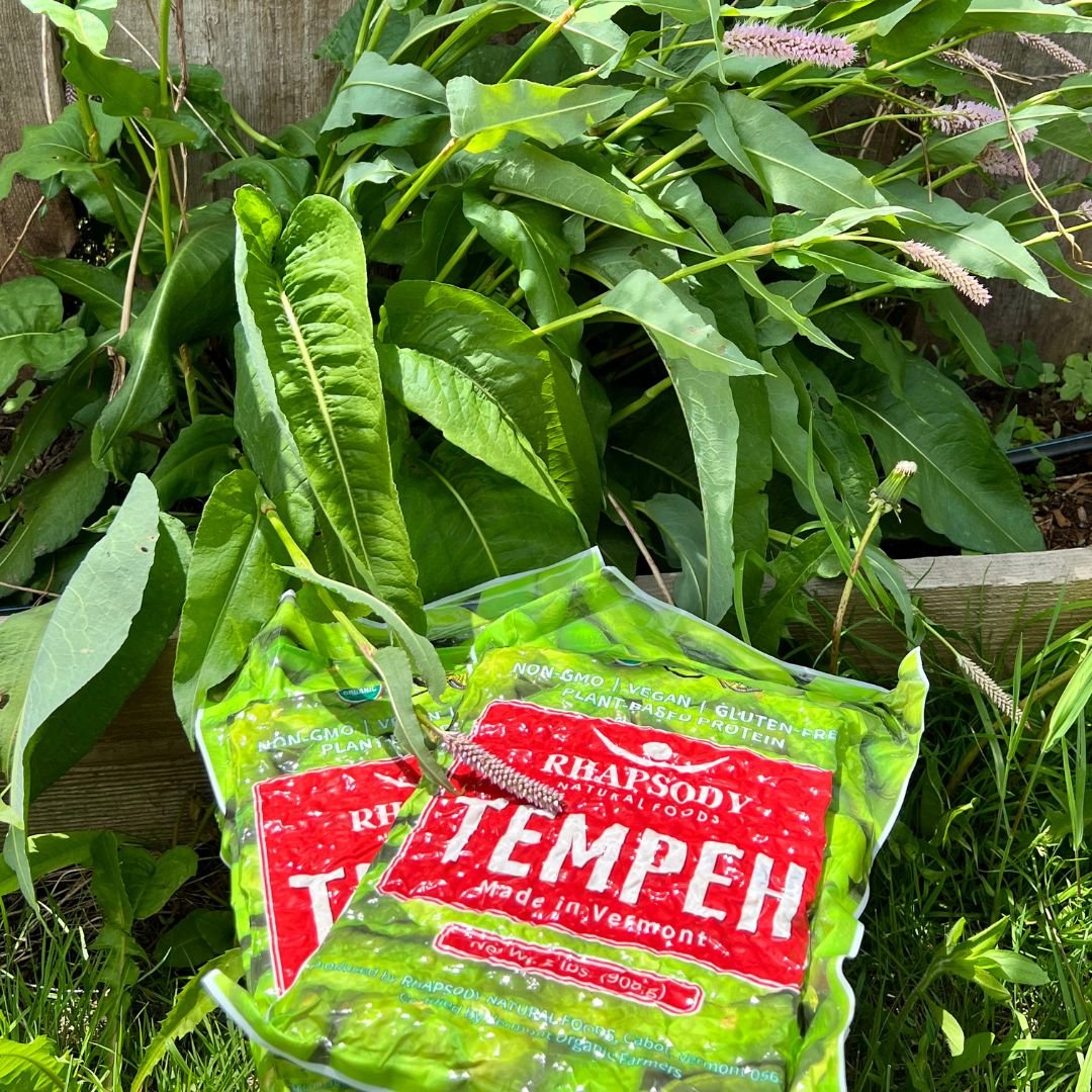 Tempeh from Rhapsody Natural Foods