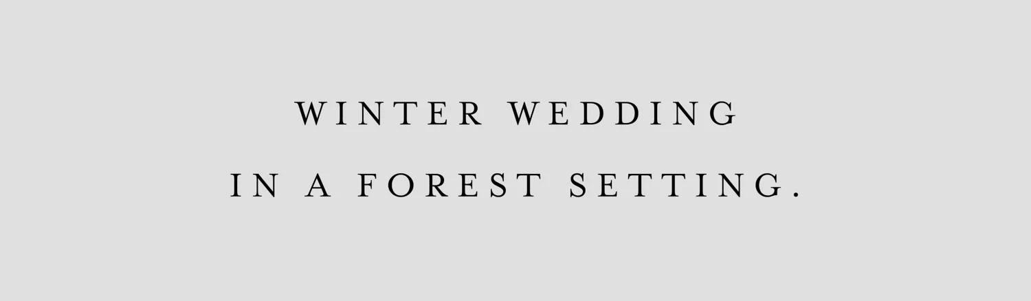 forest_webiste_layout_opt-4.jpg
