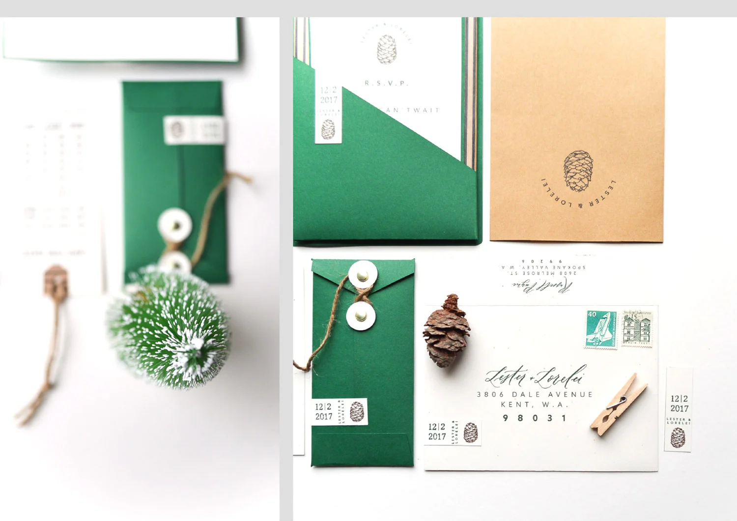 forest_webiste_layout_opt-5.jpg