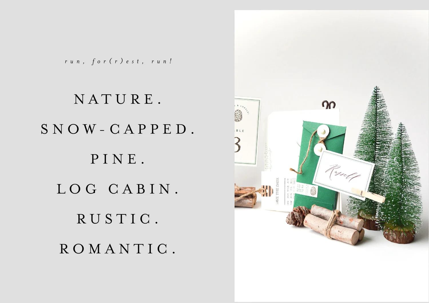 forest_webiste_layout_opt-7.jpg