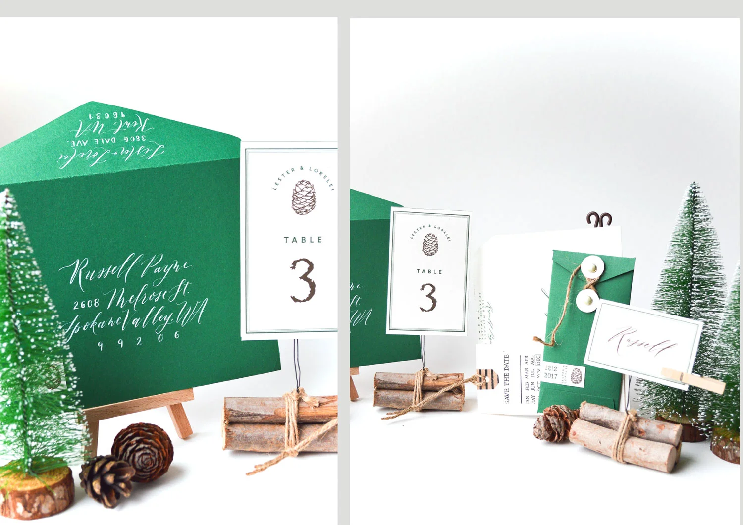 forest_webiste_layout_opt-9.jpg
