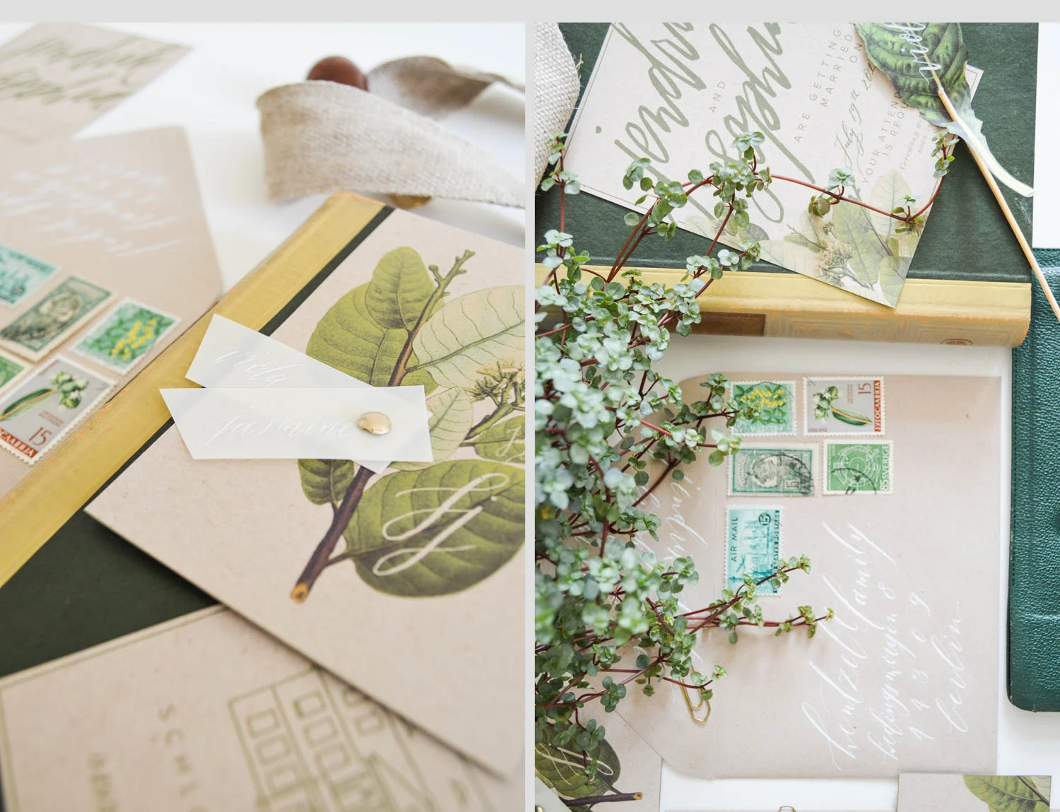 botanical_garden_new_layout_opt-11.jpg