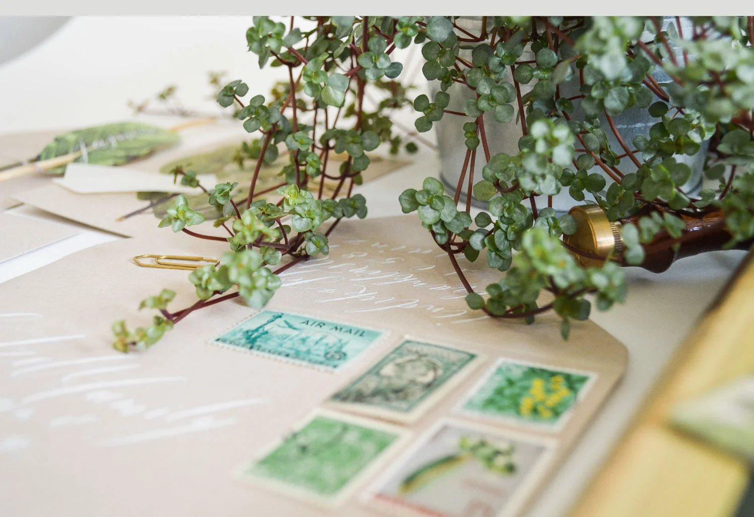 botanical_garden_new_layout_opt-12.jpg