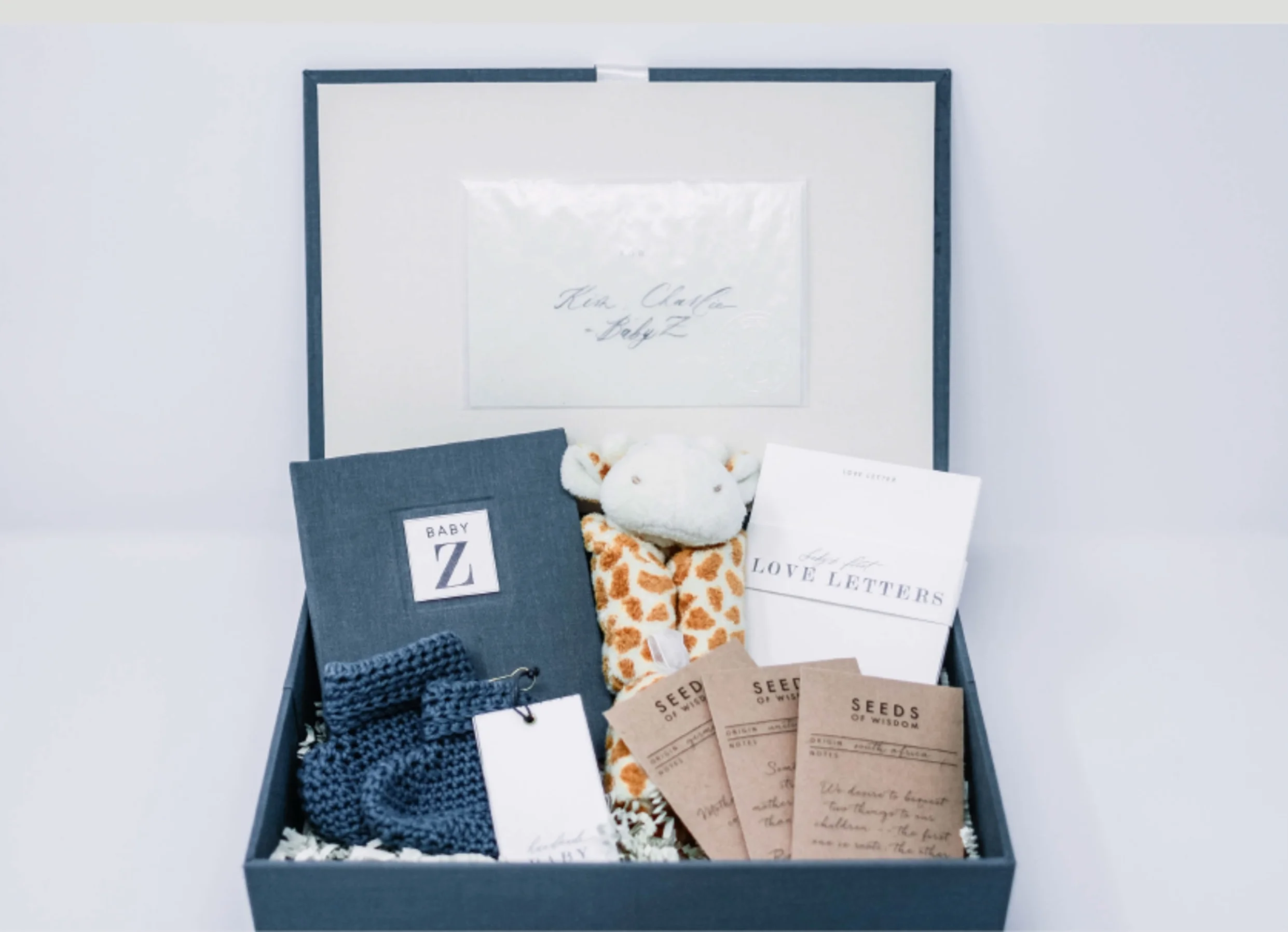 BabyZ_gift_website_layout_10.jpg