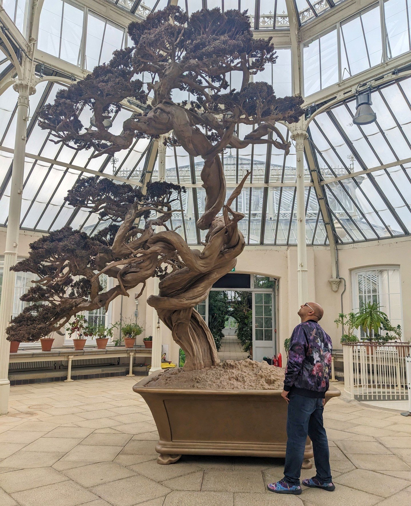 Working closely with the scientists, horticulturalists and botanists at Kew, Marc Quinn has created over 20 artworks, including sculptures based on the medicinal plants that have been used to save human lives &mdash; even as we destroy the forests ma