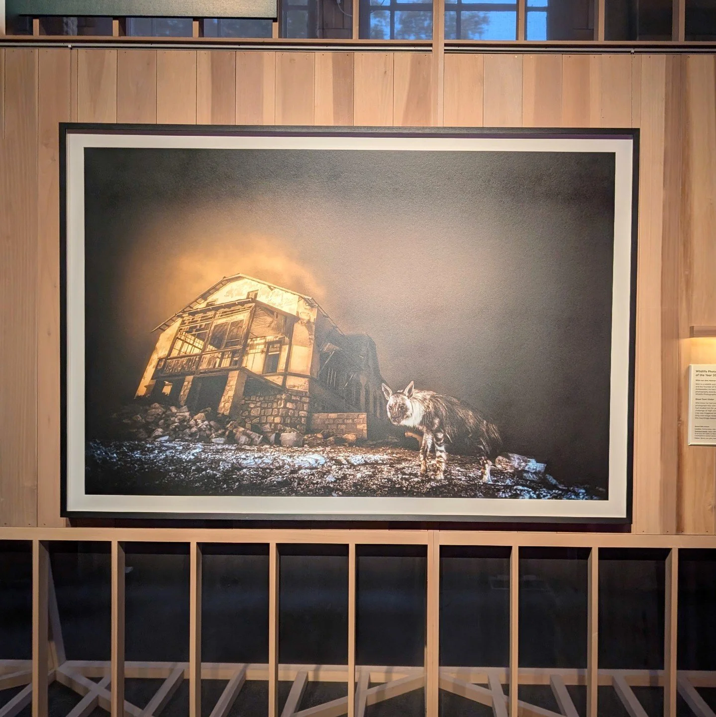 Wildlife Photographer of the Year at the Natural History Museum always impresses (ticketed, until 31st May), and this year is no exception. I&rsquo;m always learning about new animal behaviours and species, and the natural world is full of drama, as 