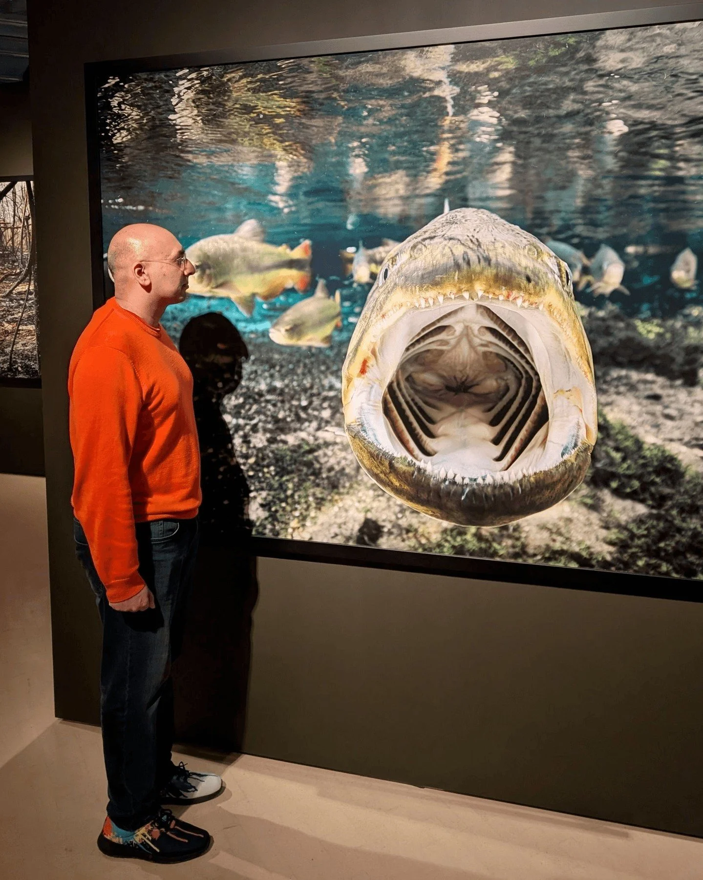 The Pantanal in South America is the world's largest wetland, and it's now regularly burning during the dry season. Through over 60 photographs, the Science Museum presents water-drenched panoramas alongside heartbreaking documentation of the 2020 an