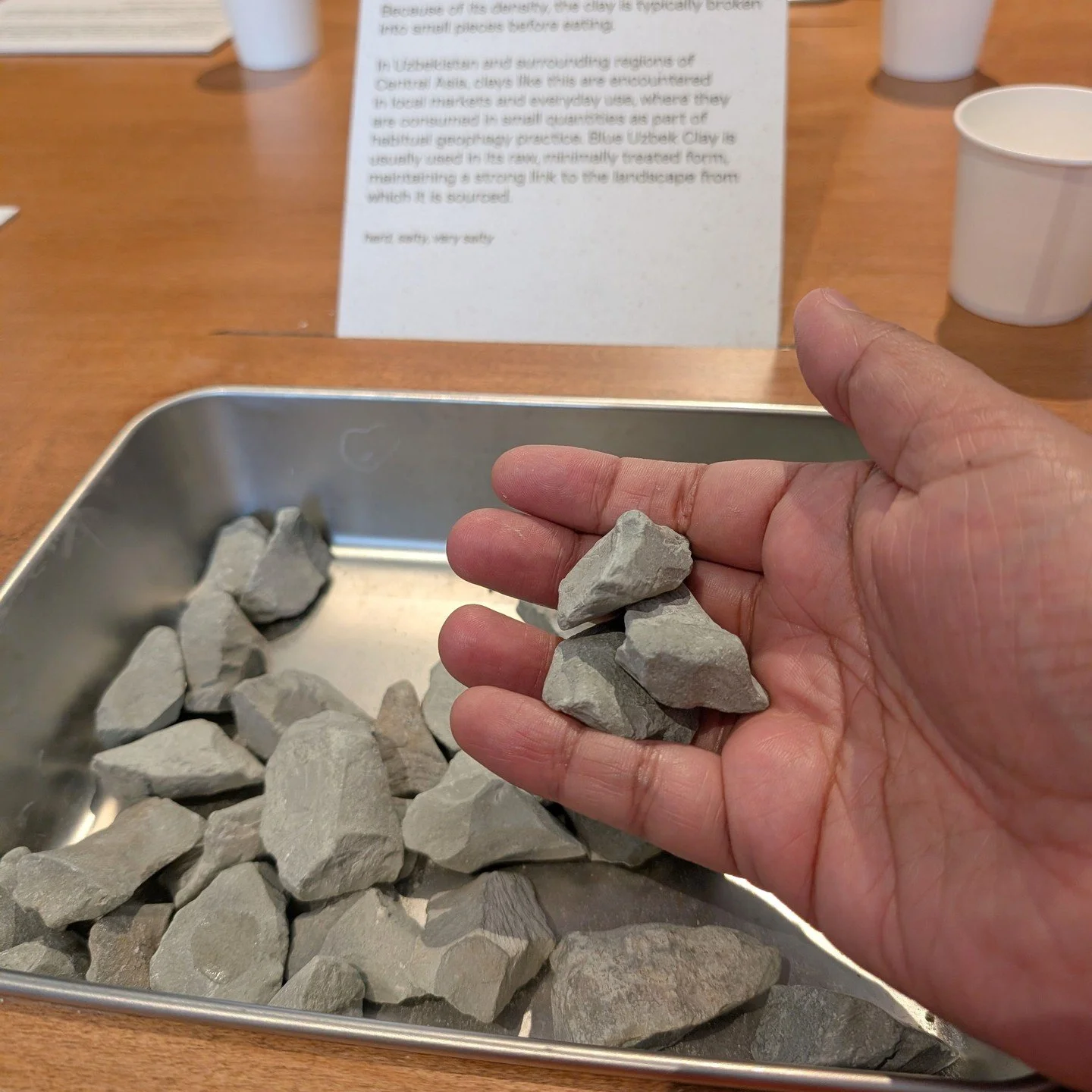 How often do you get to walk into an exhibition and eat part of it? With tasting sessions running in the afternoons, you get to sample some soil samples in an exhibition that explores the idea of the nutritious value of eating certain types of soil. 
