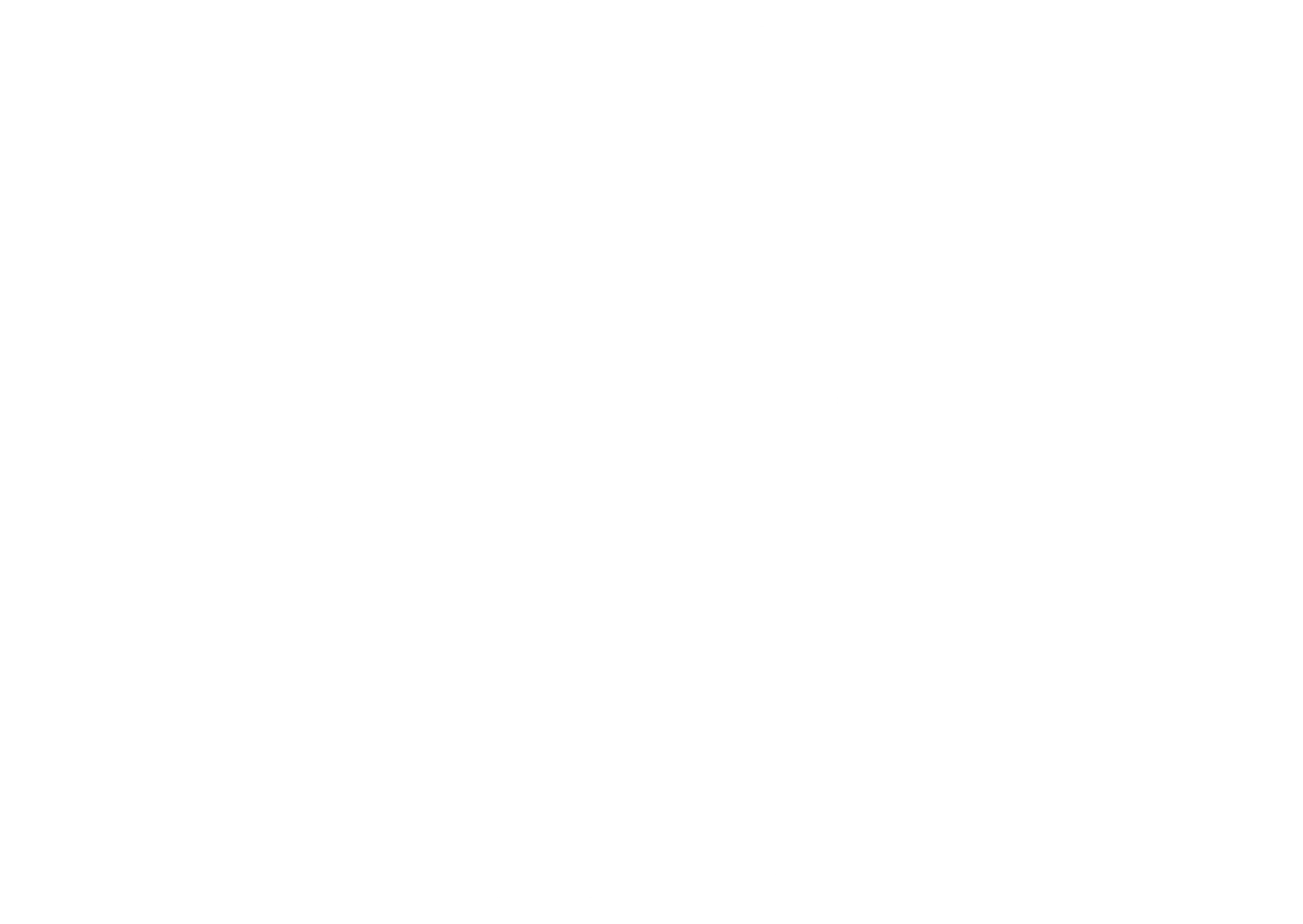 The Bearded Man Ireland