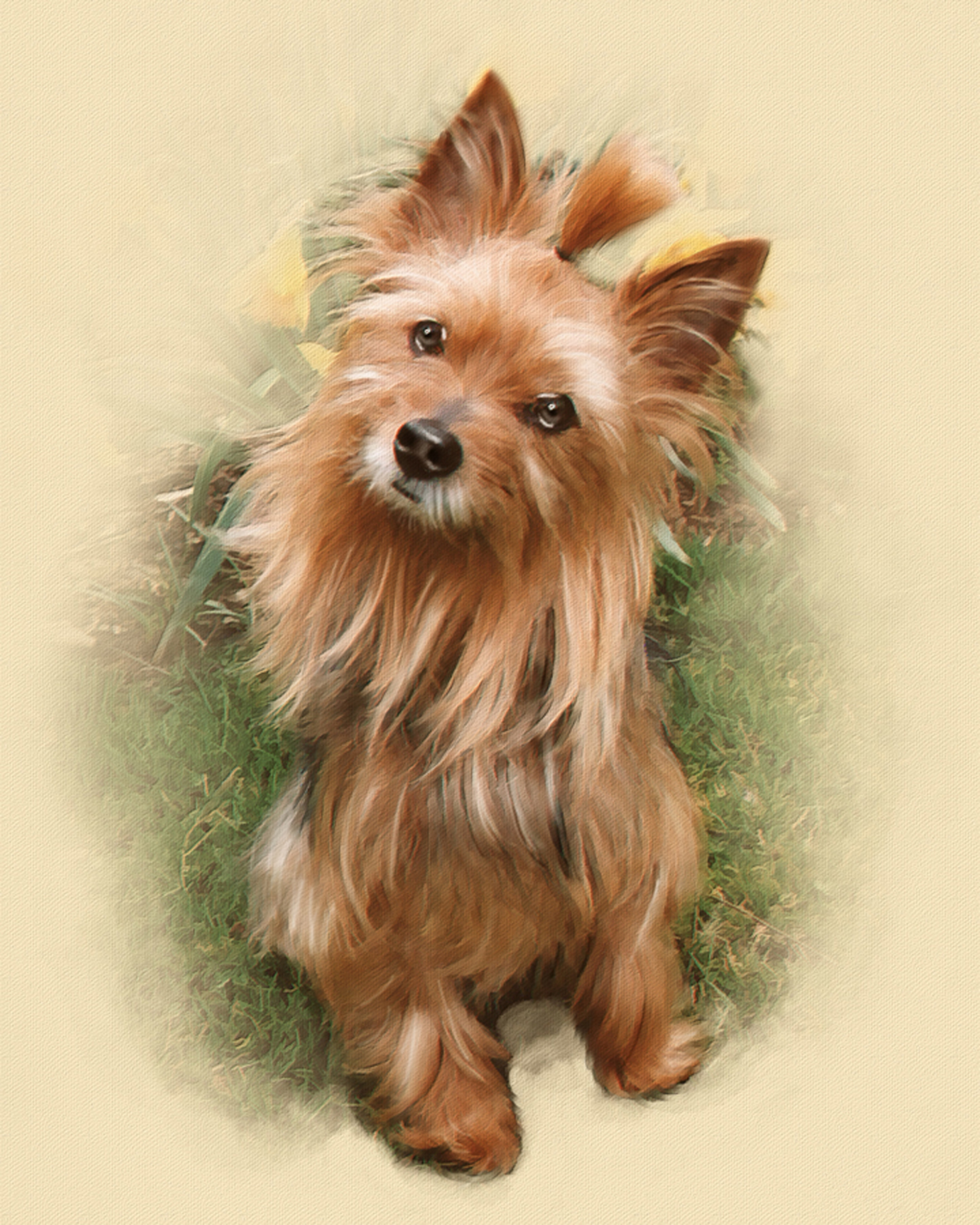 Dog - Don Vallereux..jpg