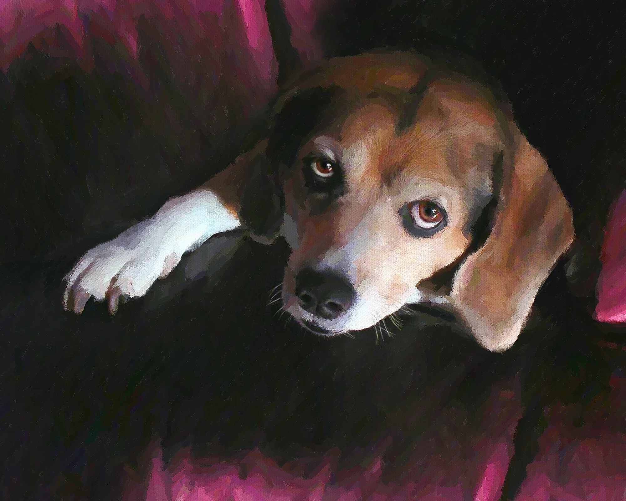 Morgan Dog P5F.jpg