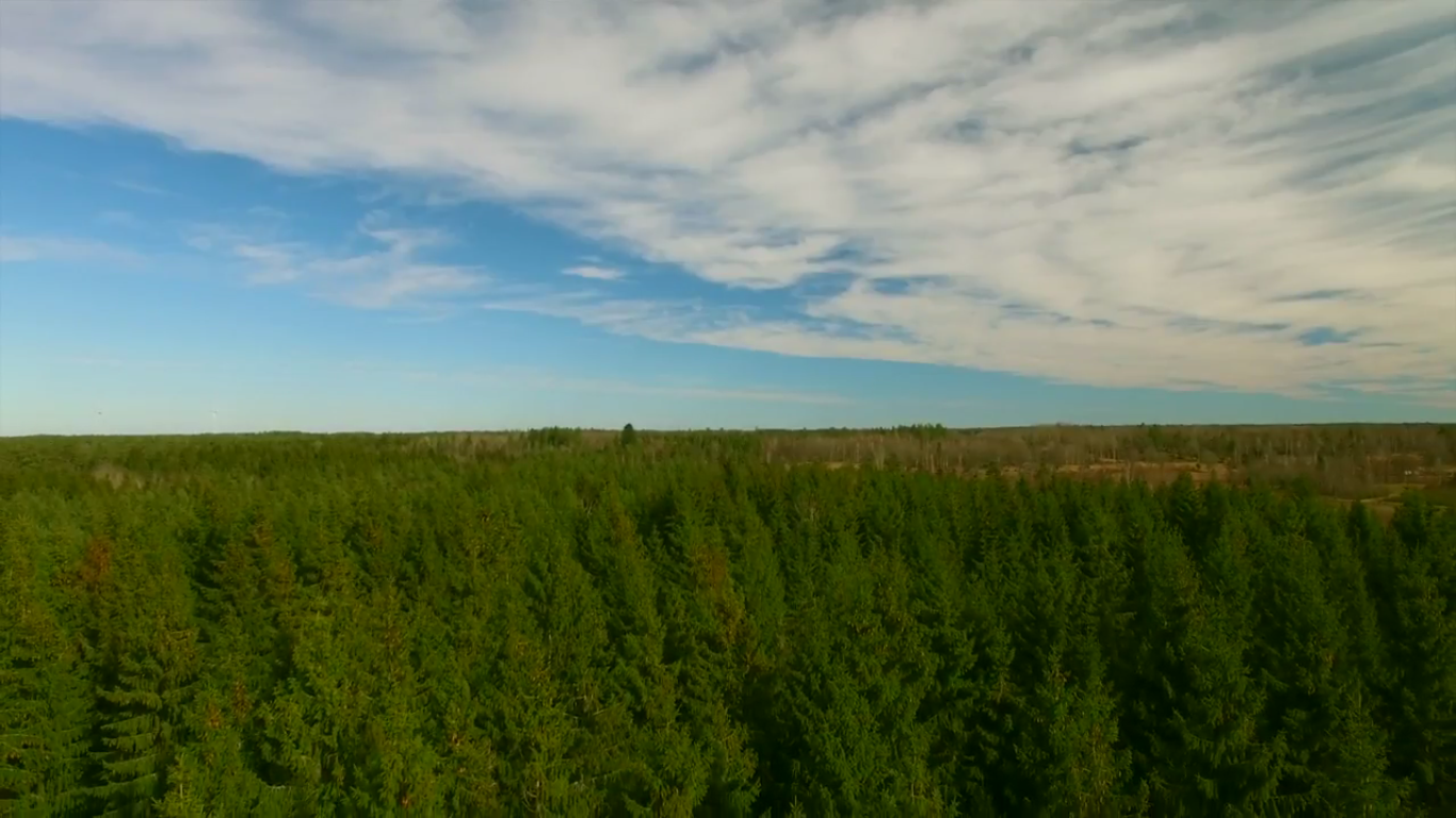 Screen Shot 2017-07-08 at 10.55.51 pm.png