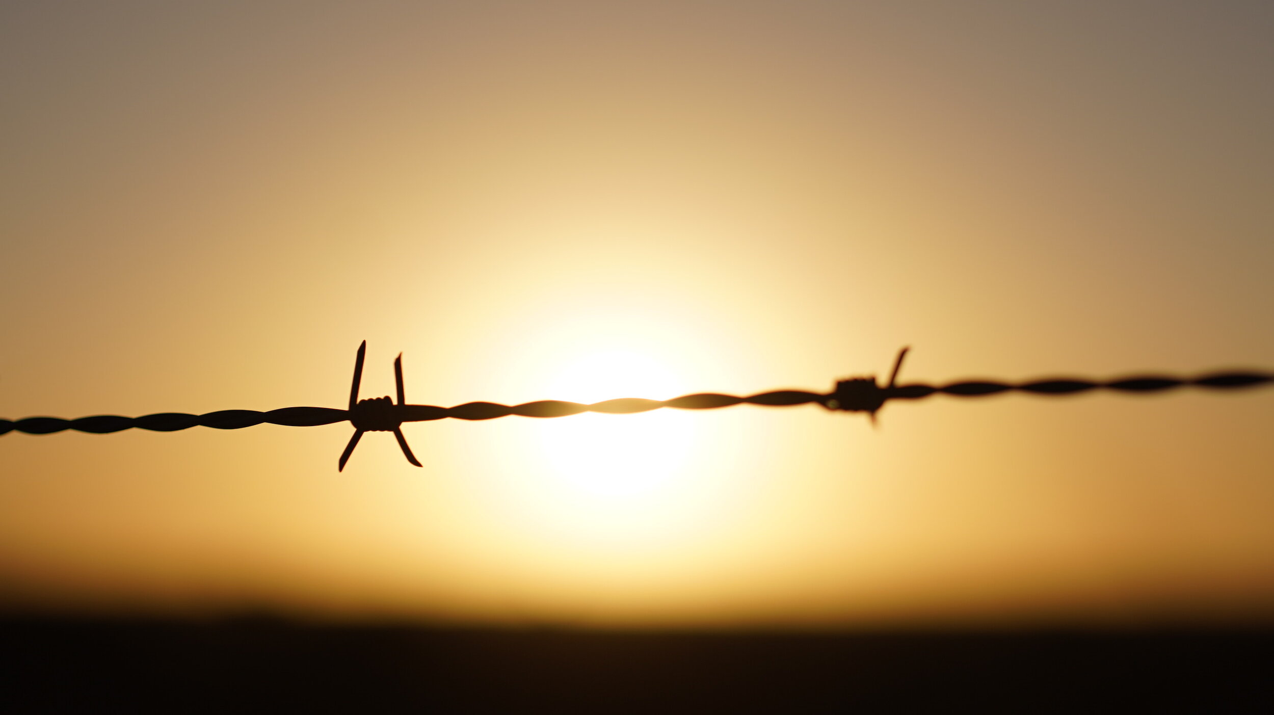 Sunrise_barbed_wire.JPG