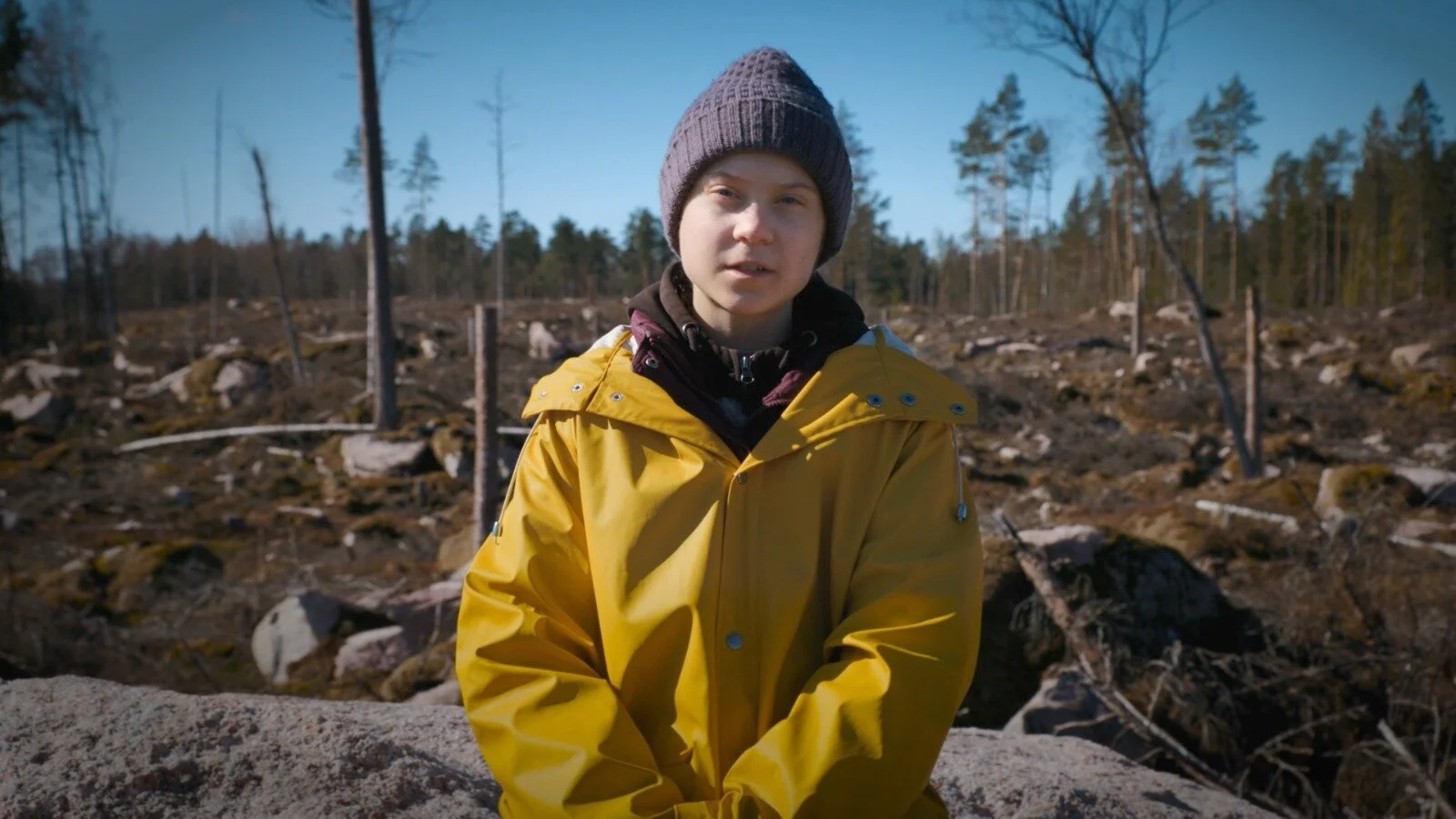 Greta Thunberg deforestation