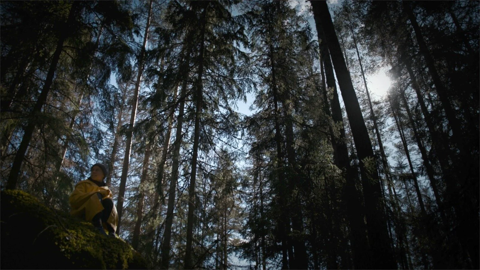 Greta Thunberg forest
