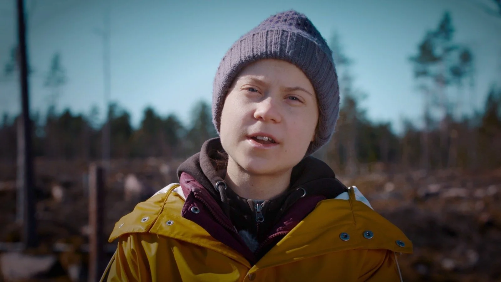 Greta Thunberg activist