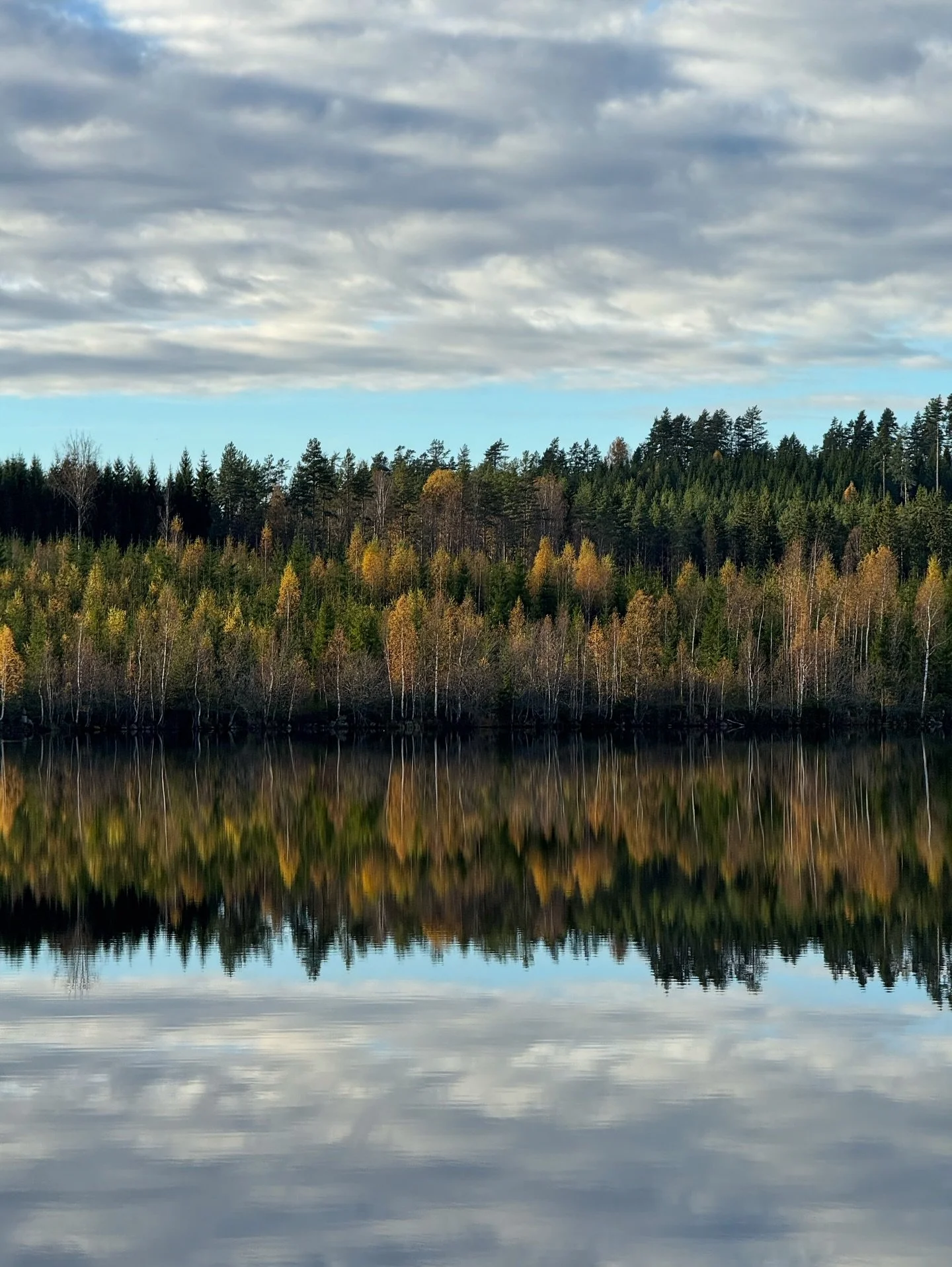 So excited, heading home today after weeks on the road. Good trips, great projects. Yesterday, a beautiful day of droning pristine autumnal forest &amp; village-life for a UK true crime documentary. Gorgeous.