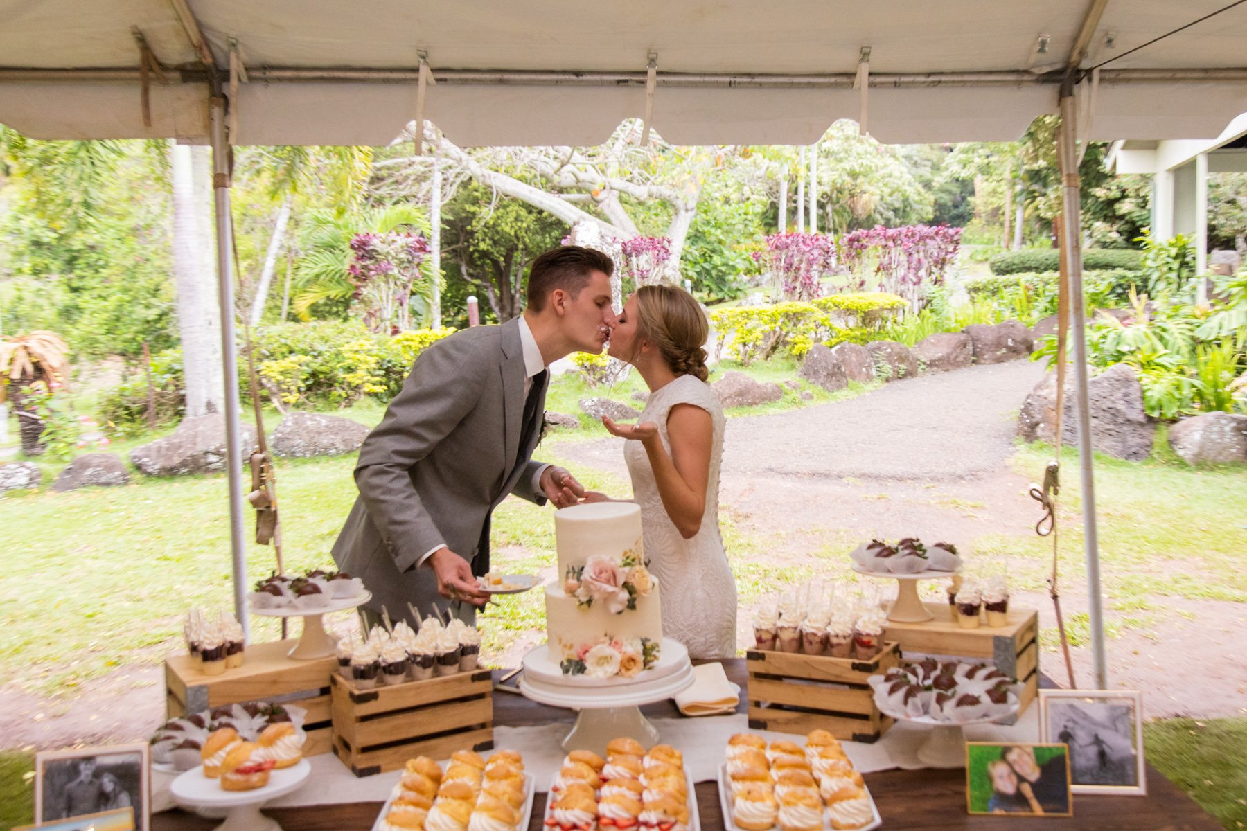 cutting the cake