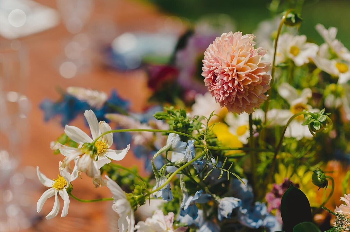 When couples choose seasonal and local flowers to adorn their weddings they are inviting nature to celebrate them year after year. Waking down the side walk to see a dahlia or cosmos blooming in late summer, or a  peony in spring makes that &ldquo;I 