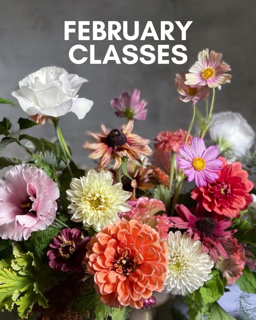 February Classes.png