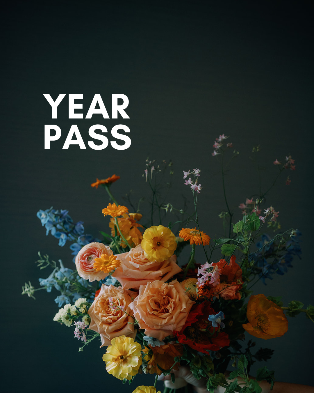 Year Pass.png