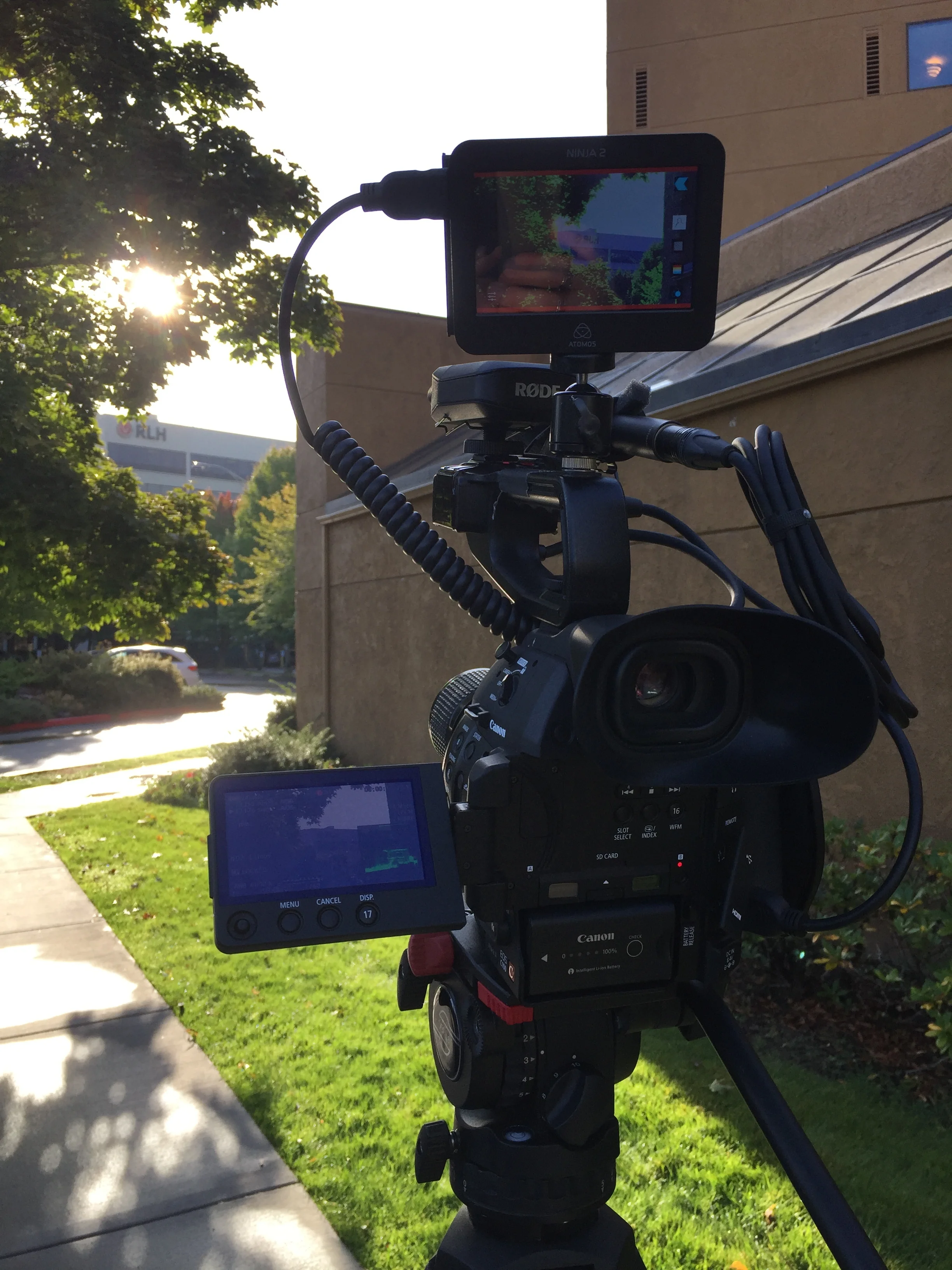 Great day for filming