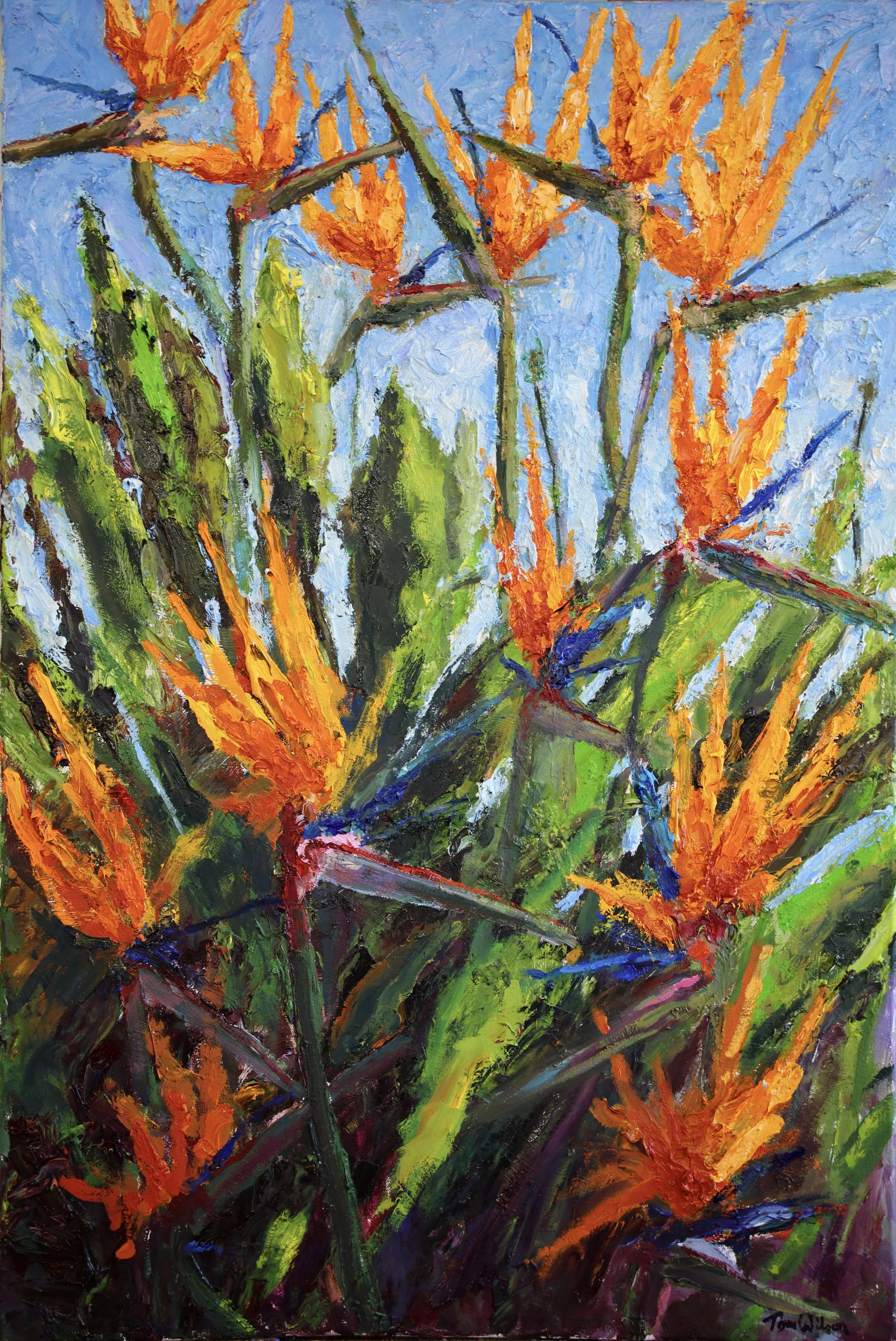 Birds of Paradise.JPG