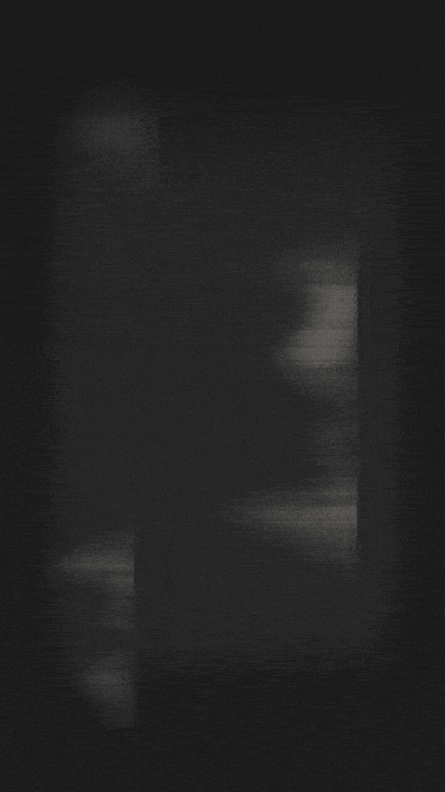 AviCell_02.gif