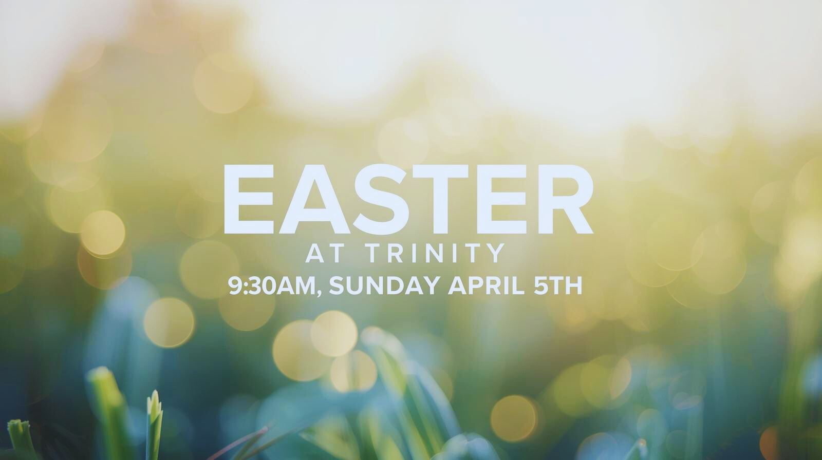 Easter at Trinity  2026