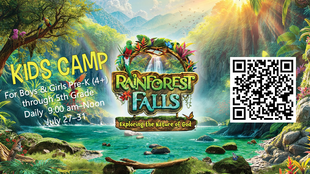 Rainforest Falls Kids Camp