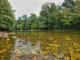 Cowpasture River.jpg