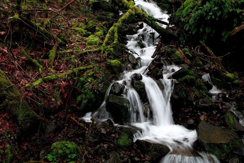 Oregon.jpg