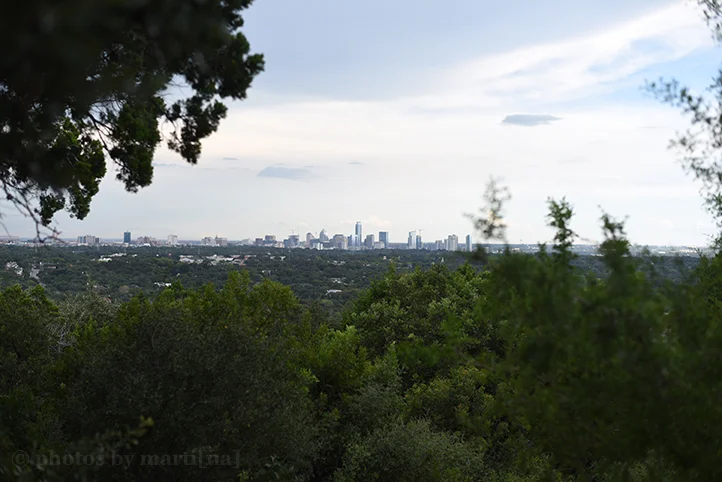 austin-wedding-proposal-covert-park-1.jpg