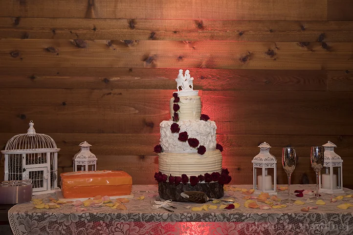 austin-wedding-photography-rocking-r-events-hutto-24.jpg