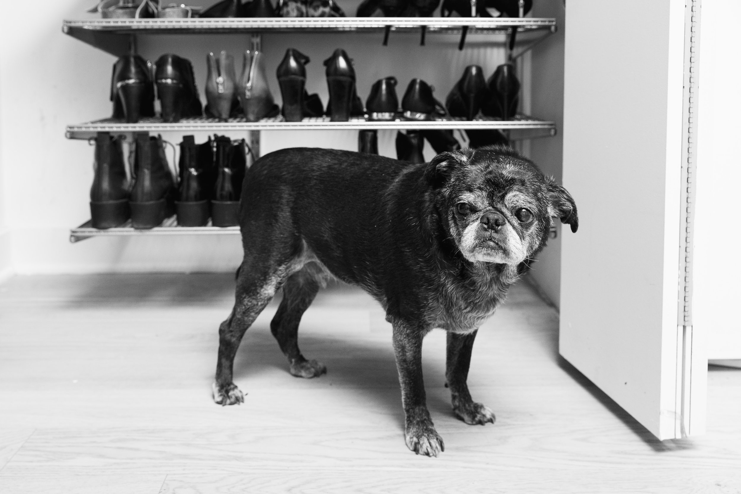 Herbie _ Shoes.jpg