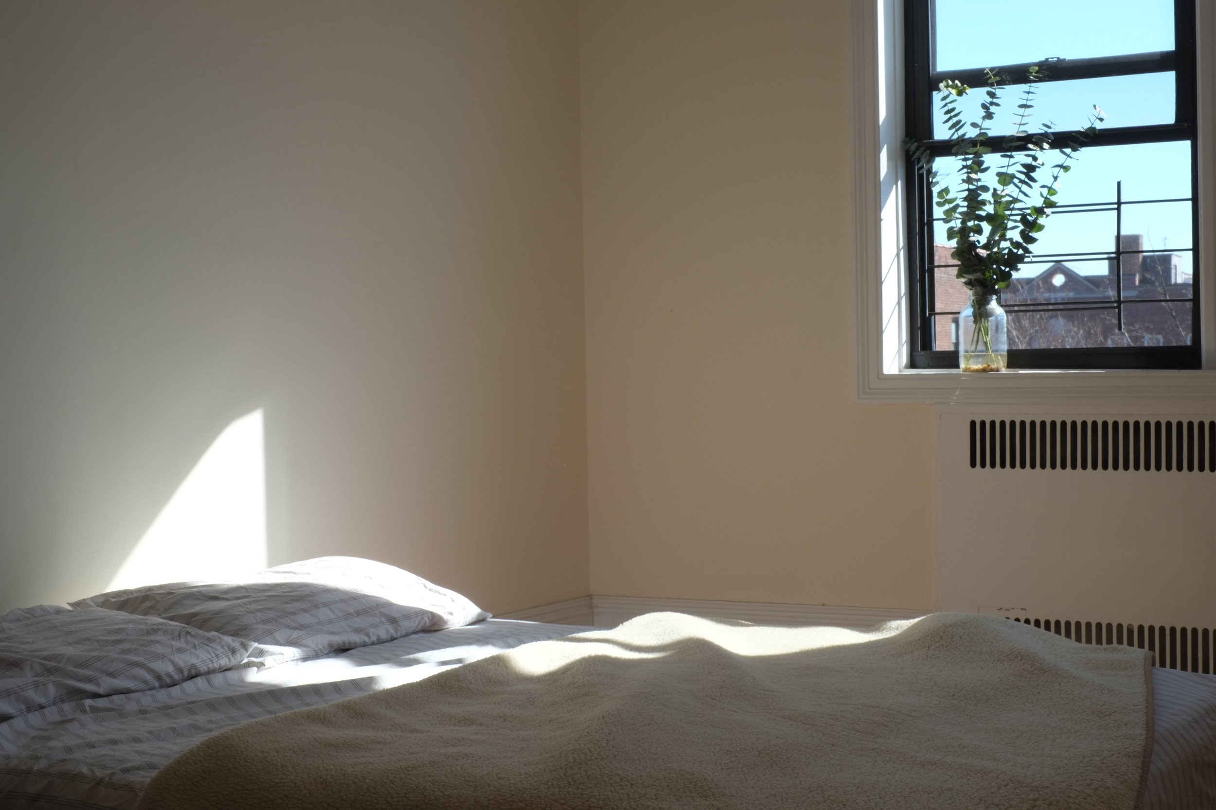 Afternoon Light.jpg