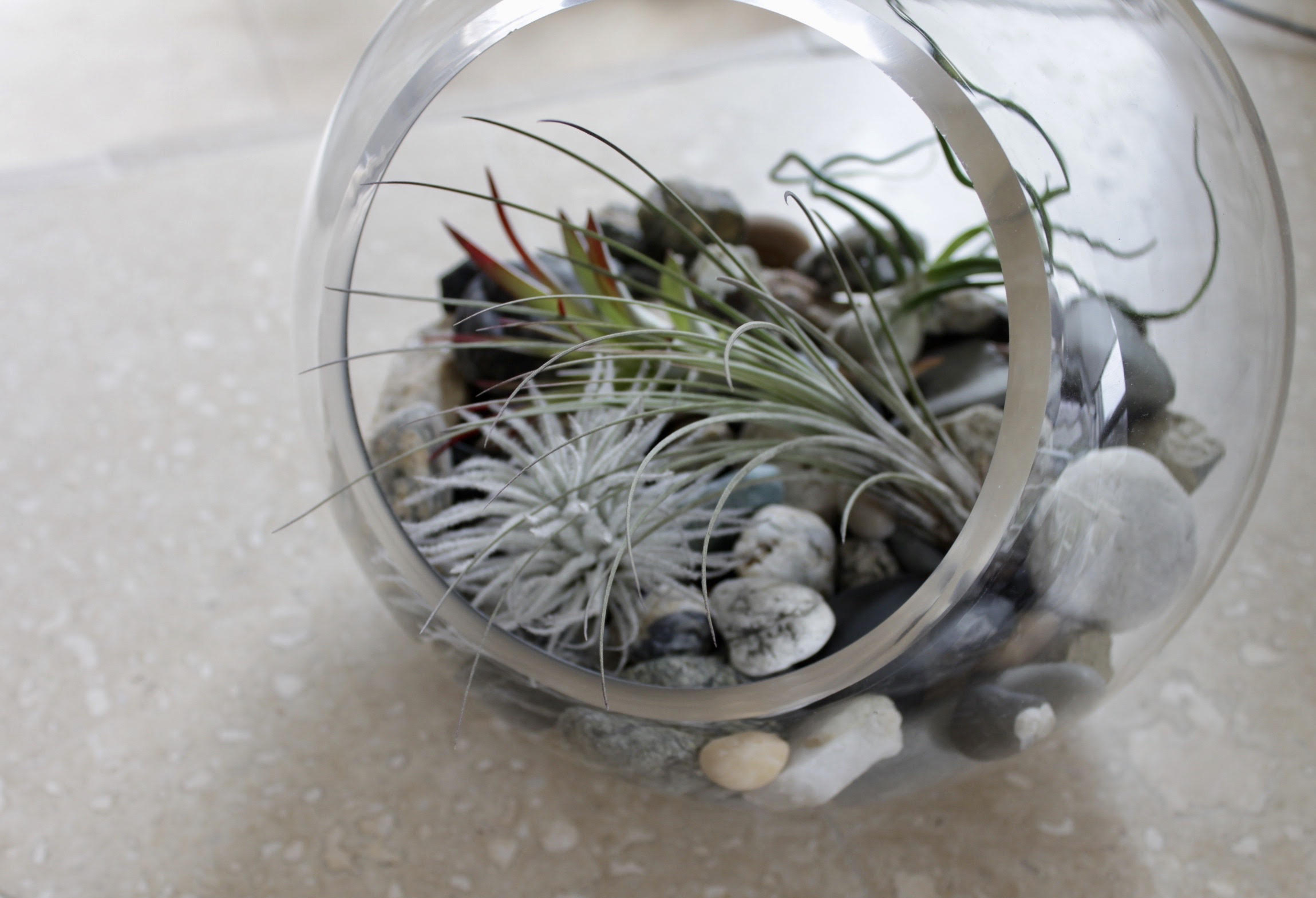 superfine rock terrarium.jpg