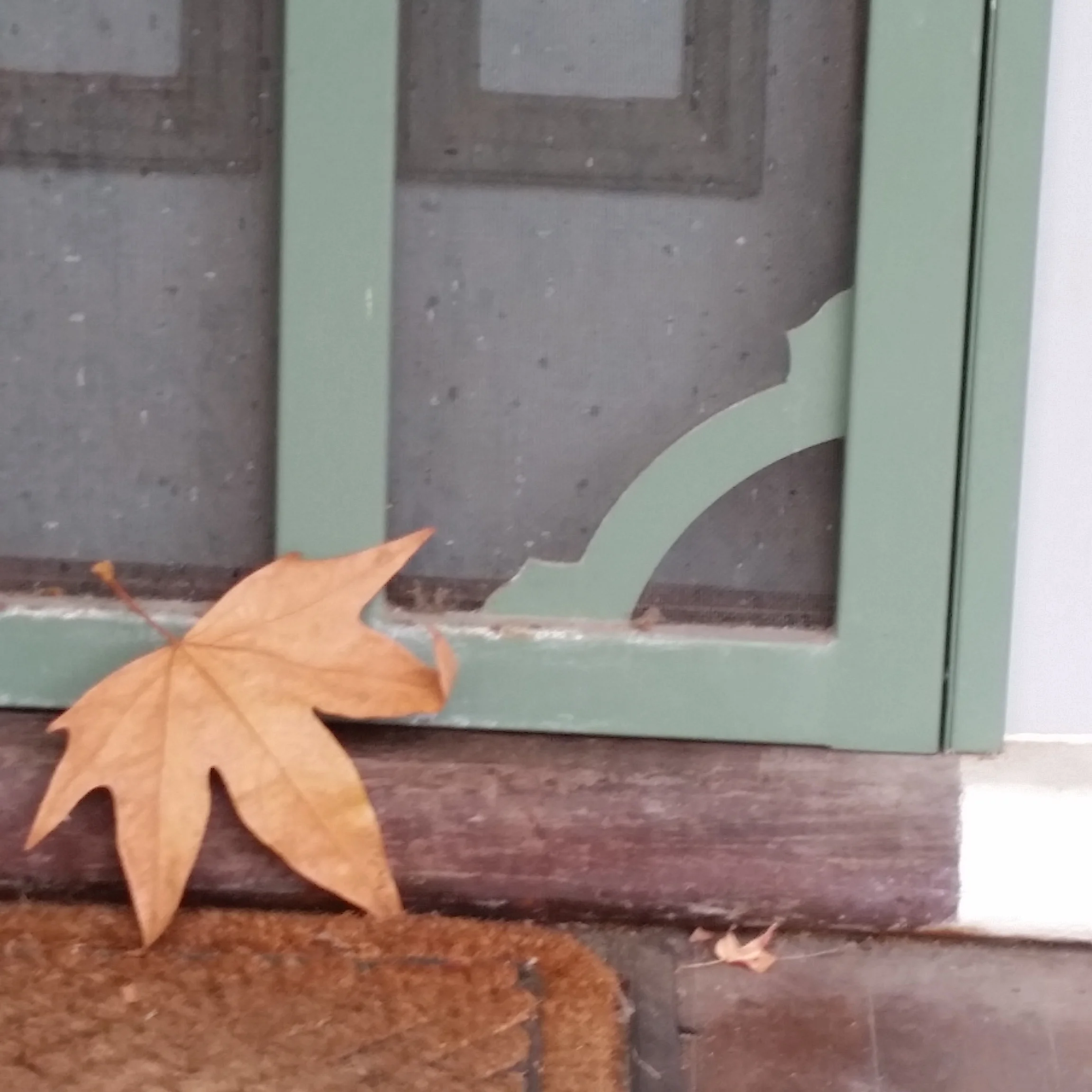 leaf.jpg
