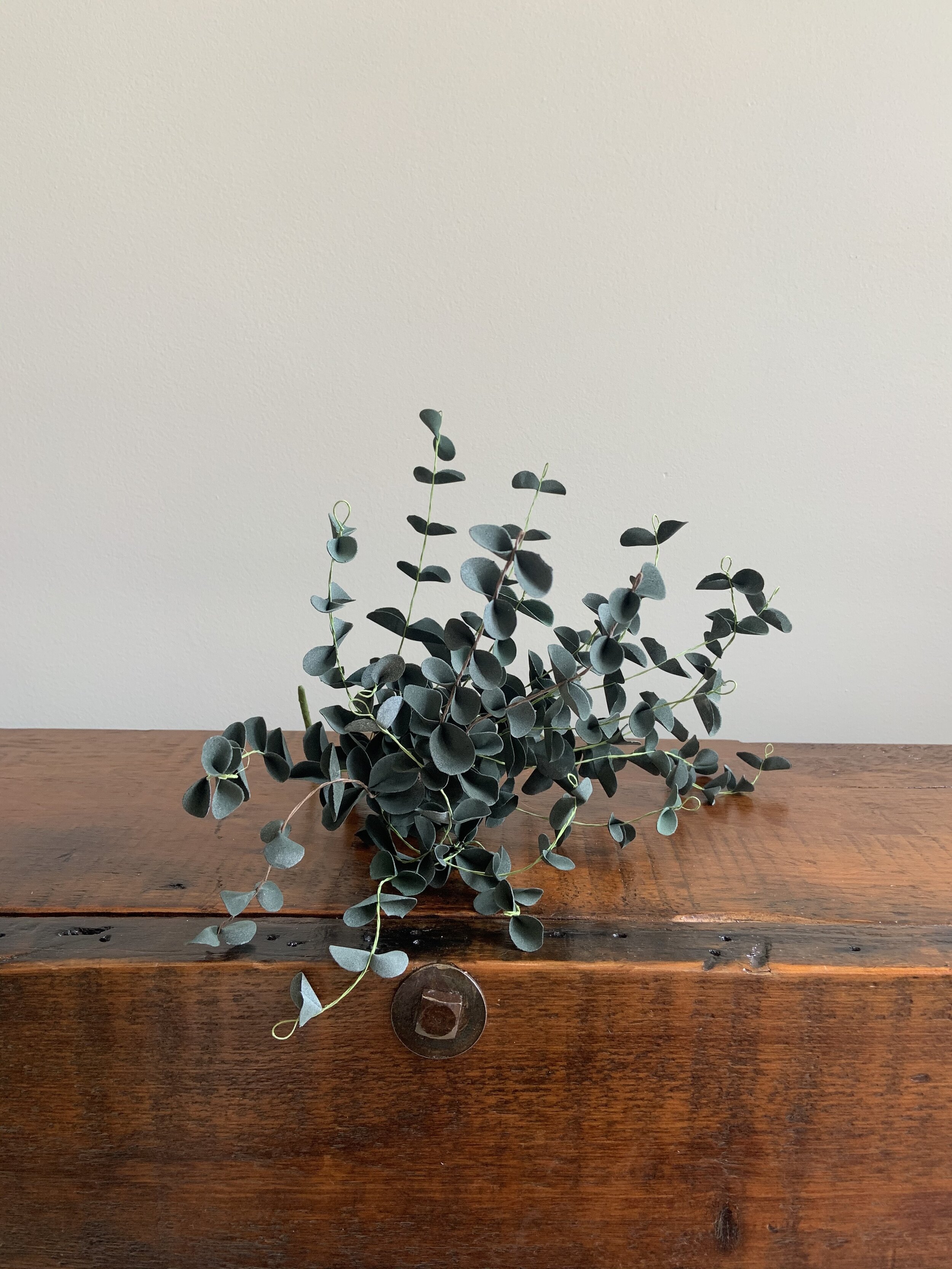 Eucalyptus Spray 12"