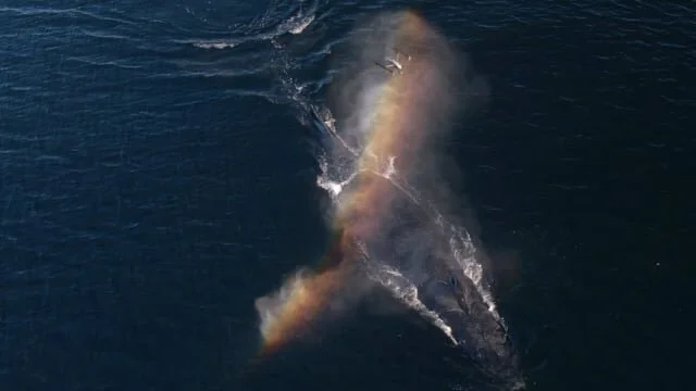 Intel "Snot Bot" Social Shorts