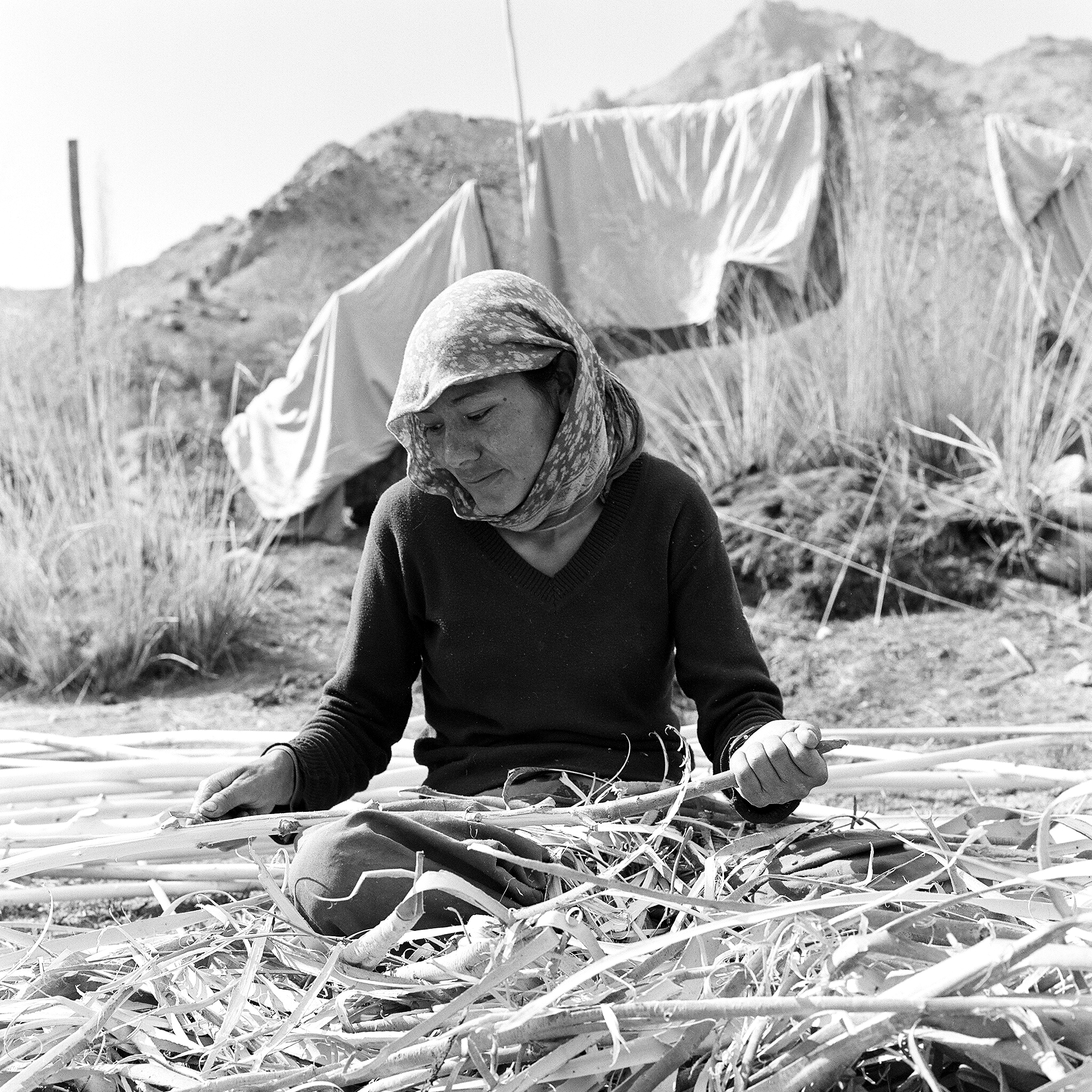 This young woman and her mother, are the two other main habitants of the village Larchman came to help. She's peeling poplar wood poles, a widespread material used in the constructions.