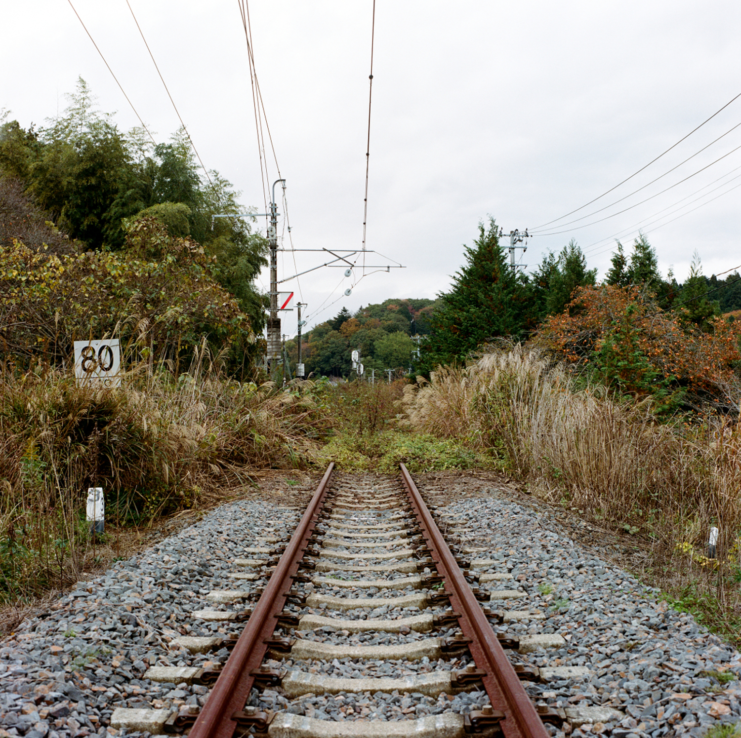  Further north to Naraha, the Joban train line used to run until Minamisoma; but as its route pass through a still too contaminated zone, the line presently ends quite abruptly in the bushes at the edge of town.    