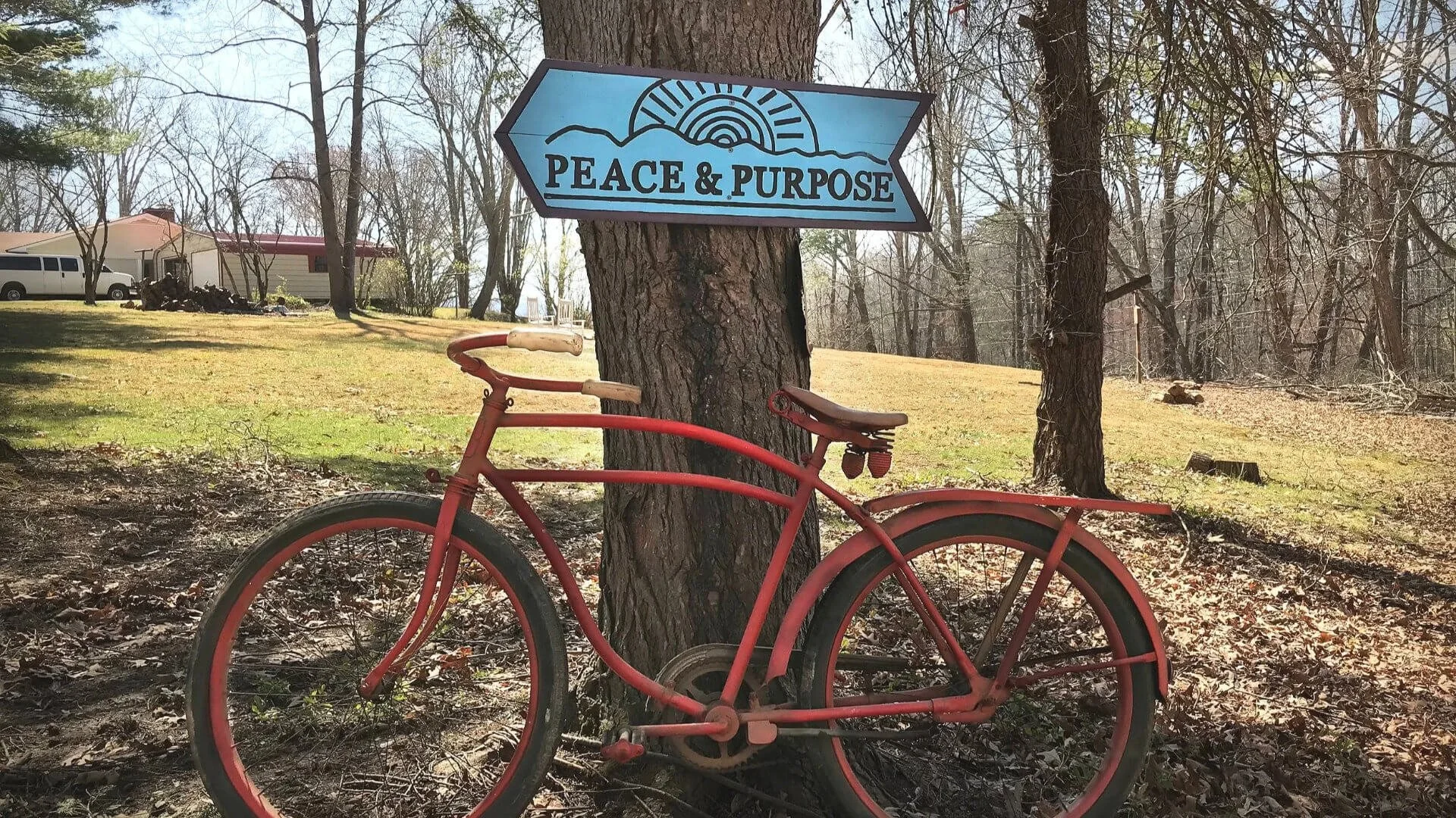 Peace & Purpose 12 Step Program.jpeg