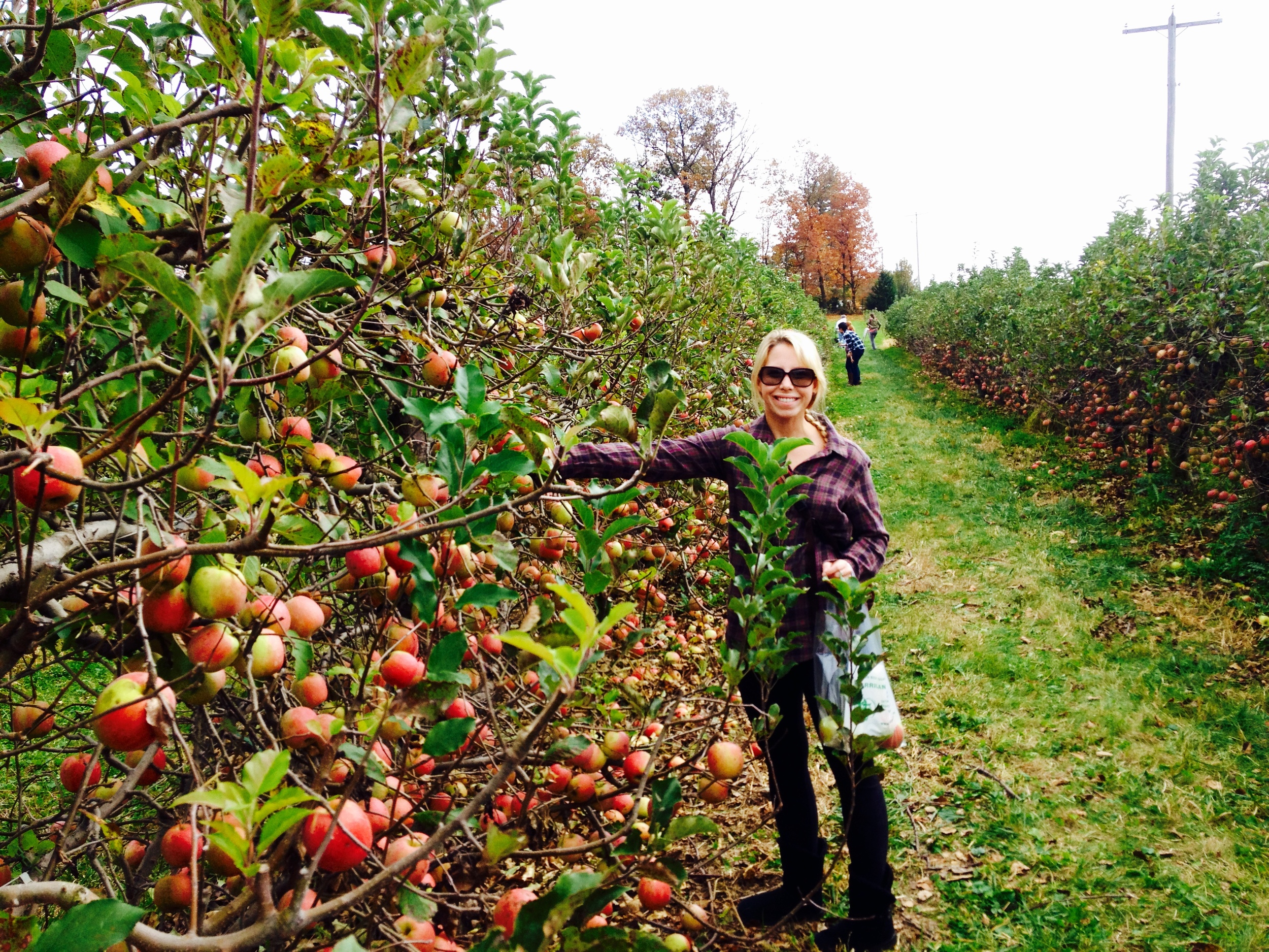 Nicole in apple orchard.jpeg