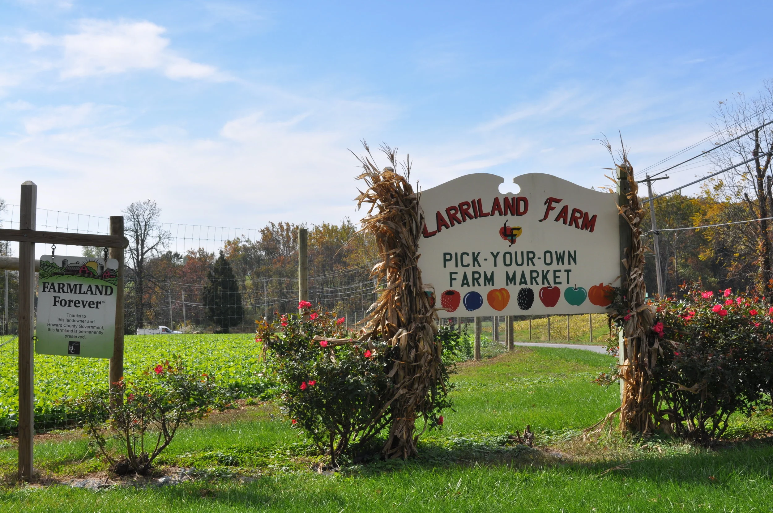 Larriland Farm Sign.jpg