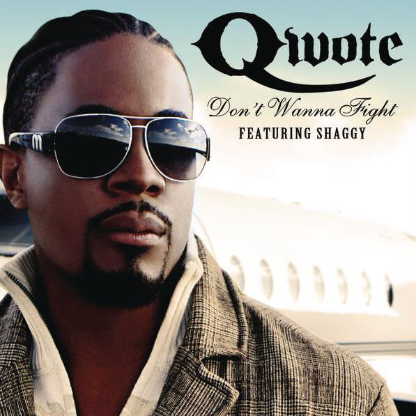 Qwote ft. Shaggy – 'Don’t Wanna Fight (TONAL Remix)' (2007)