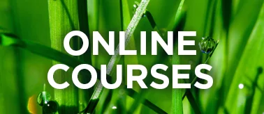 home_thumb_online_courses.png